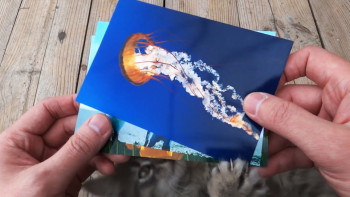 Как выбрать бумагу для лазерной печати?