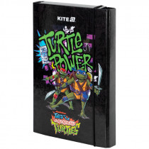 Папка для тетрадей B5, на резинках, картон, Ninja Turtles (NT25-210)