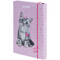 Папка для тетрадей B5, на резинках, картон, Studio Pets (SP25-210) Папка для тетрадей B5, на резинках, картон, Studio Pets (SP25-210)