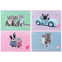 Тетрадь для рисования, 12 лист., скоба, софт тач + УФ лак, Studio Pets (SP25-241)