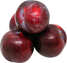 Слива импортная