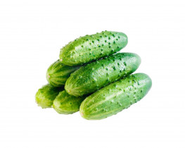 Огурец отборный