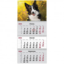 Календар настінний квартальний 2026 р.,3 пр. Dogs 3
