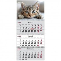 Календарь настенный квартальный 2026г, 3  пр., Cats 1