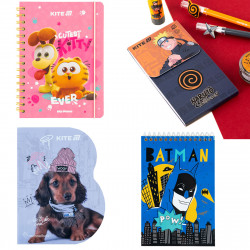 Блокноти, записны книжки, щоденники