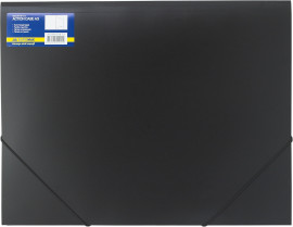 Папка на гумках пластикова А3, PROFESSIONAL, чорн. (BM.3918-01)