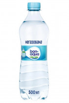 Вода мінеральна негазована 0,5л., 12шт/уп., пластикова пляшка