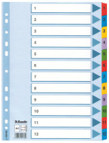 Разделитель страниц цифровой Mylar 1-12, картон.